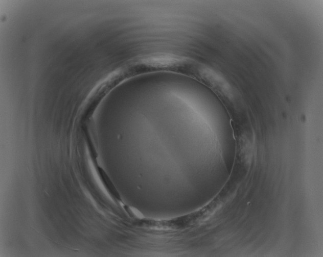 X0000086220400200704051245