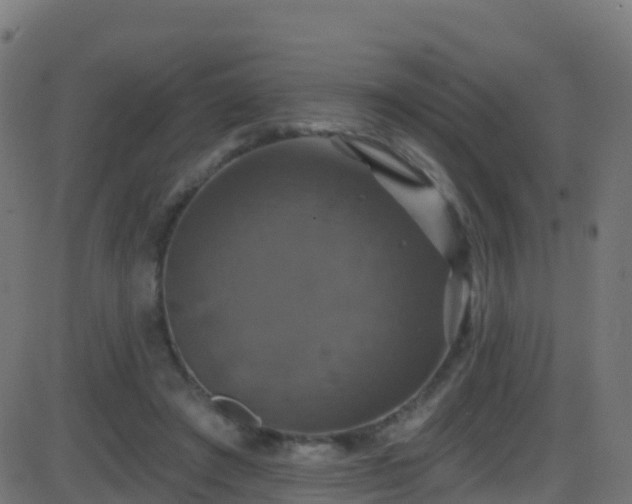 X0000086220401200704051245