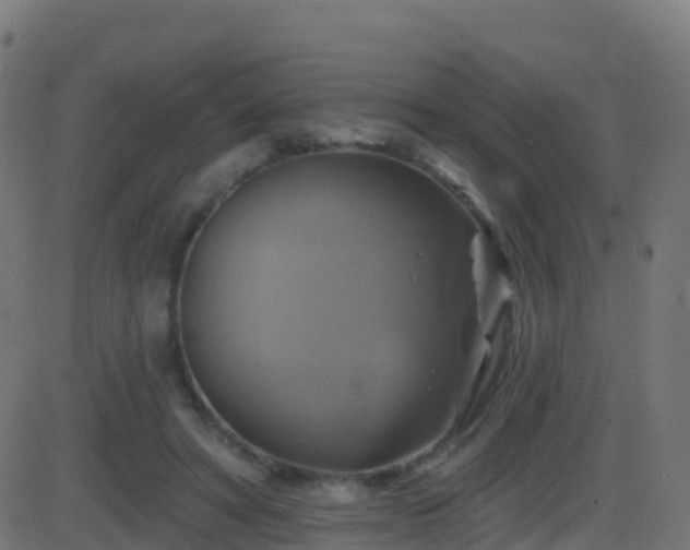 X0000086220402200704051245