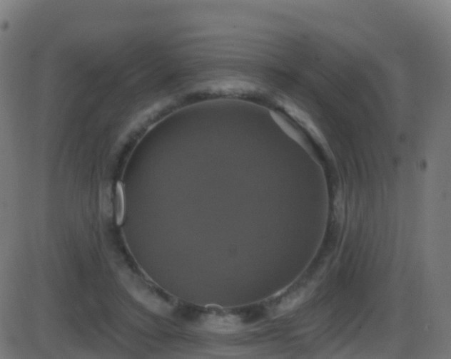 X0000086220403200704051245