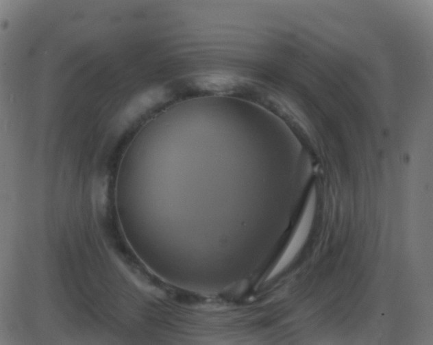 X0000086220404200704051245