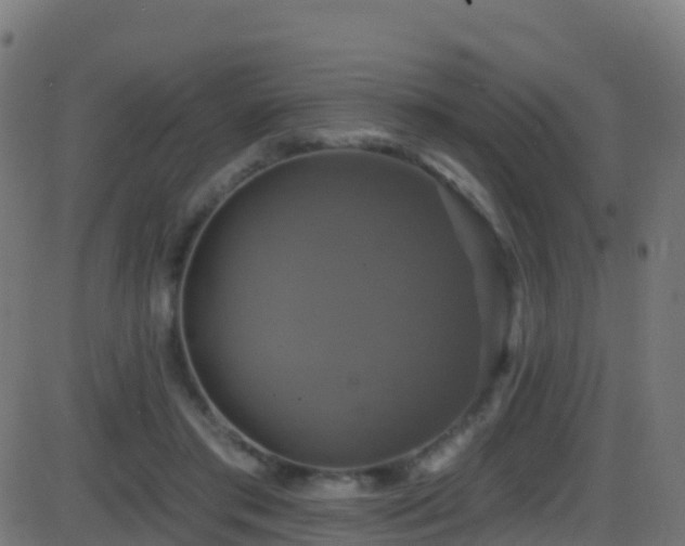 X0000086220405200704051245