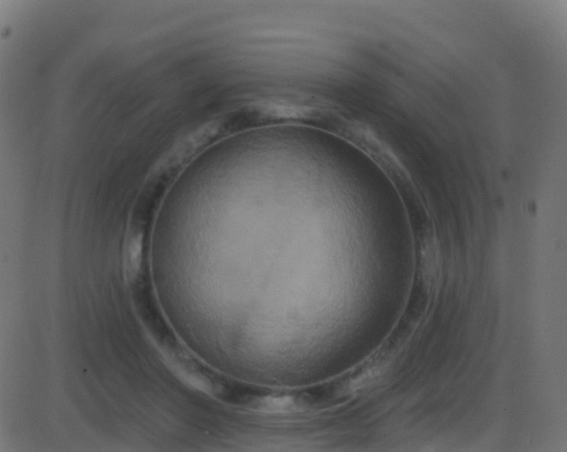 X0000086220406200704051245