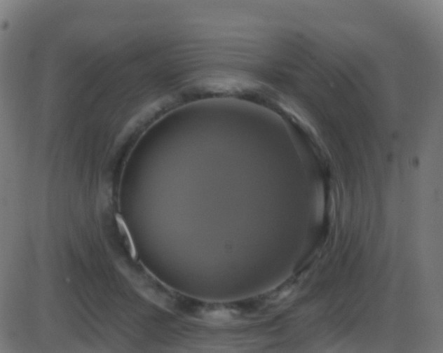 X0000086220407200704051245