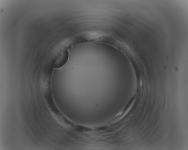 X0000086220408200704051245