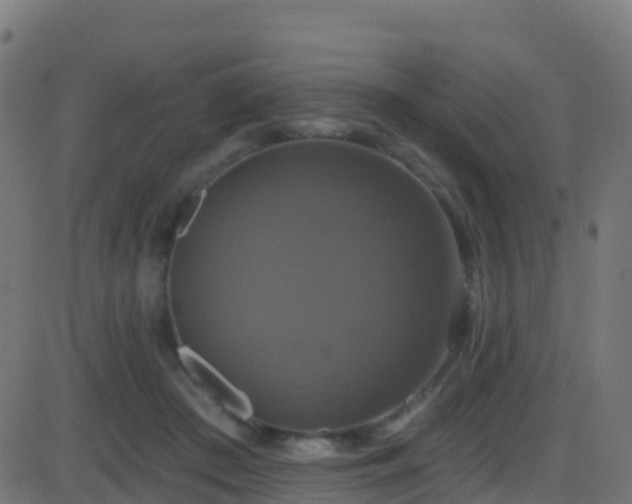 X0000086220409200704051245