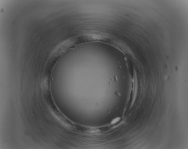 X0000086220410200704051245