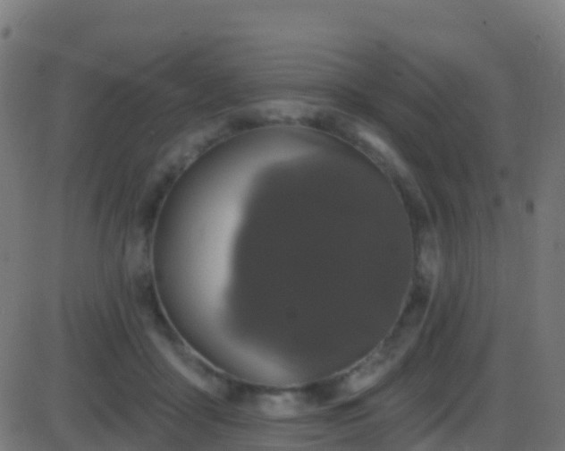 X0000086220411200704051245