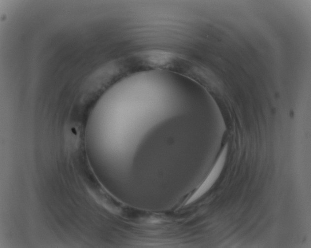 X0000086220412200704051245