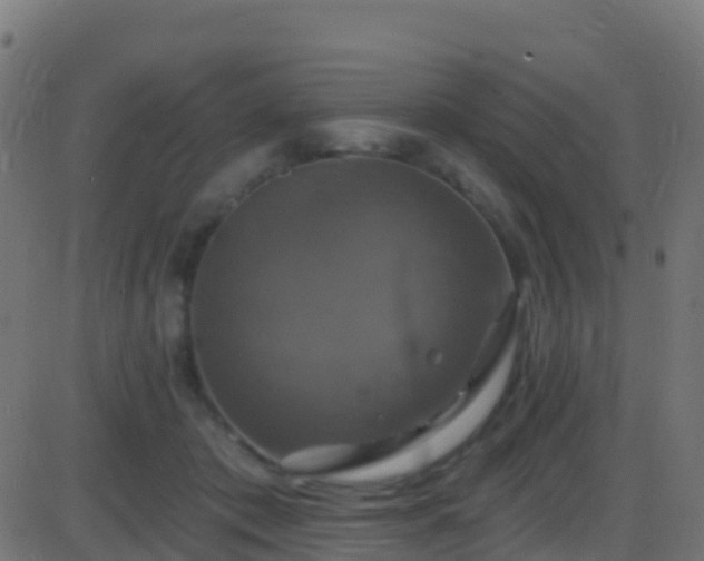 X0000086220413200704051245