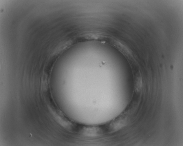 X0000086220414200704051245