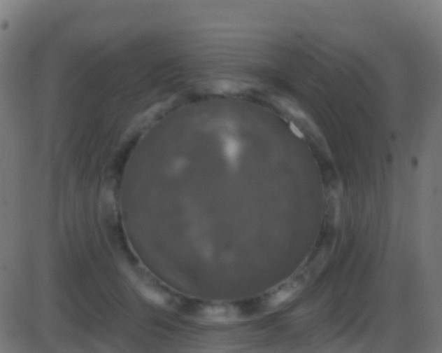 X0000086220415200704051245