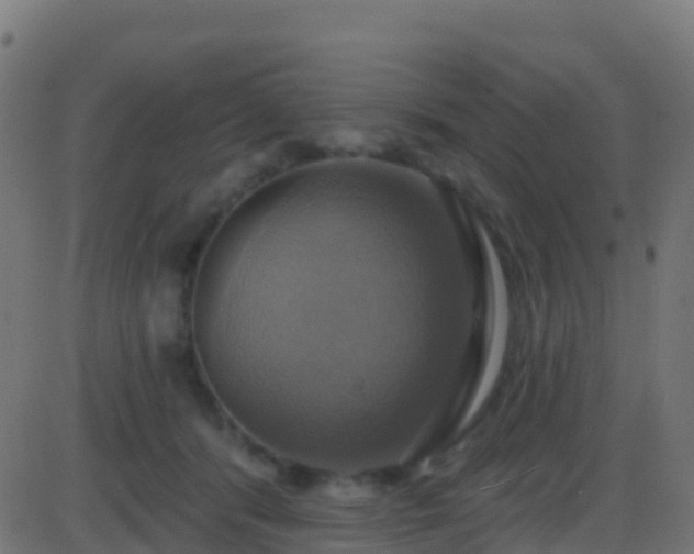 X0000086220416200704051245