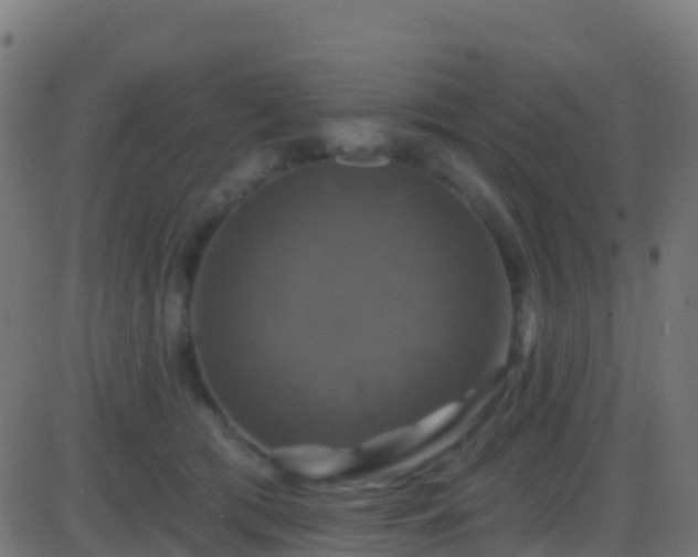 X0000086220417200704051245