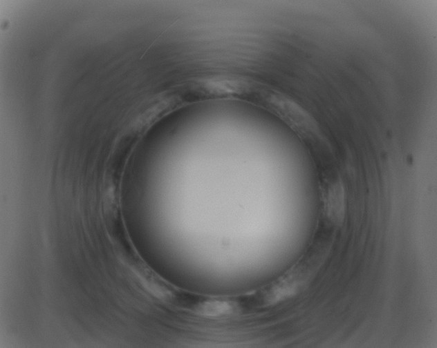 X0000086220418200704051245