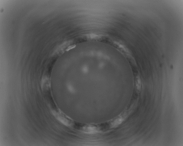 X0000086220419200704051245