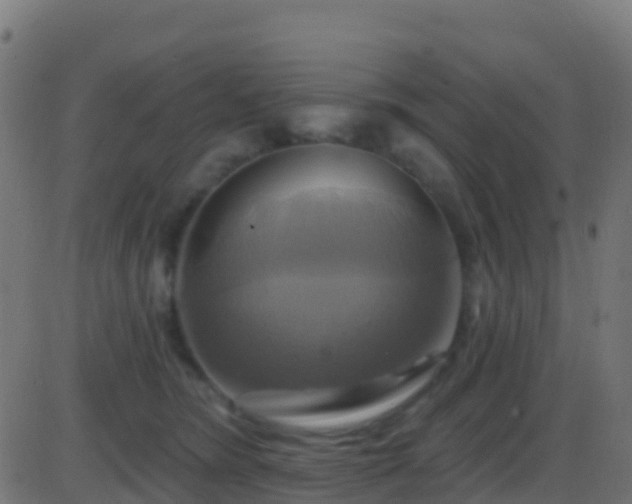 X0000086220420200704051245