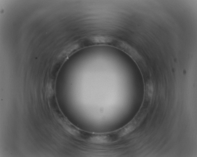 X0000086220422200704051245