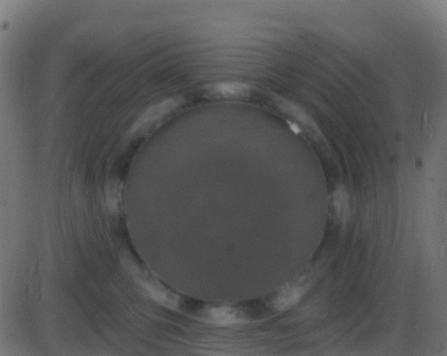 X0000086220423200704051245