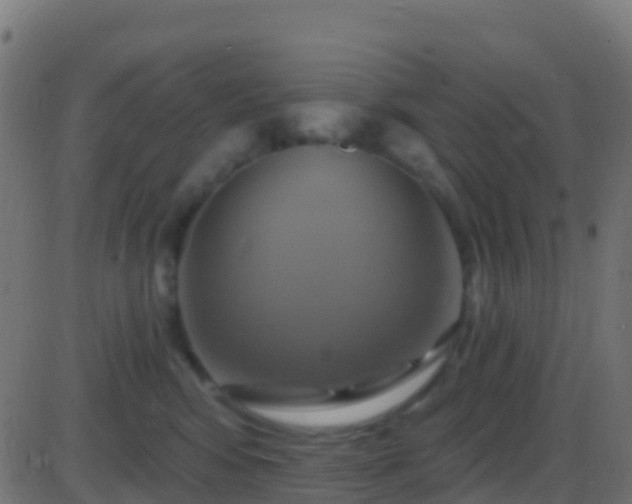 X0000086220424200704051245