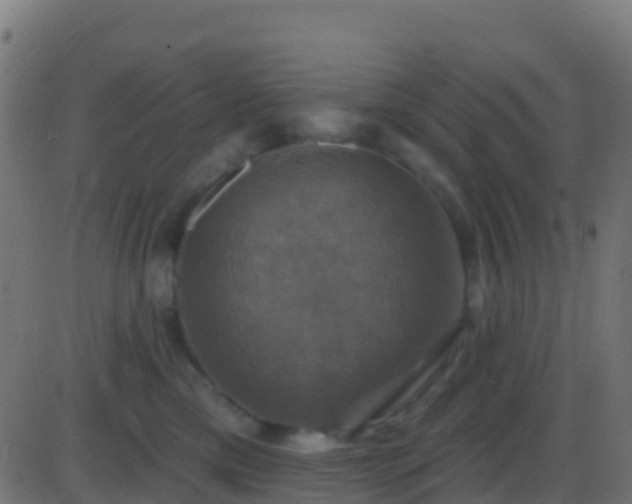 X0000086220425200704051245