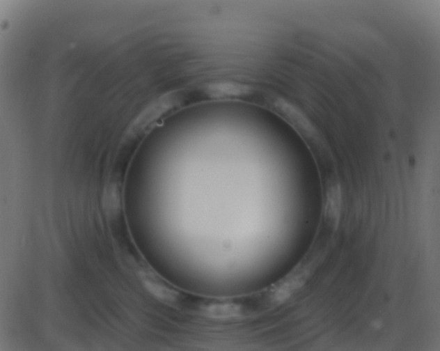 X0000086220426200704051245