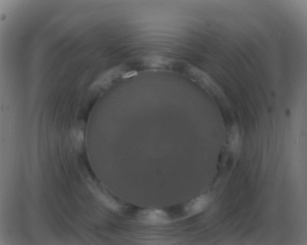 X0000086220427200704051245