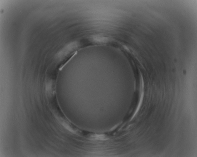 X0000086220428200704051245