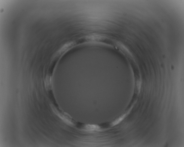 X0000086220429200704051245