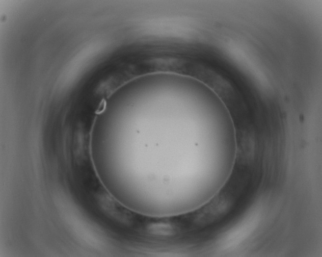 X0000086220430200704051245