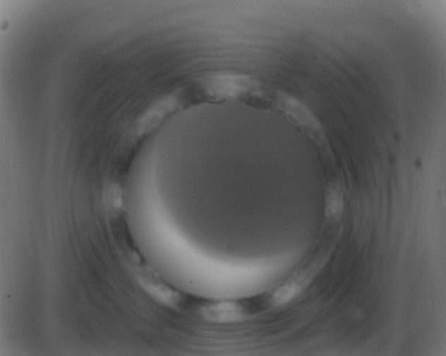 X0000086220431200704051245