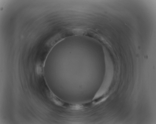 X0000086220432200704051245