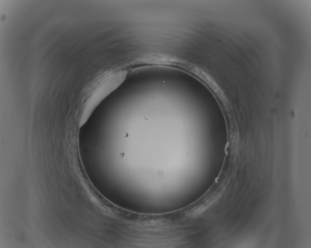 X0000086220433200704051244