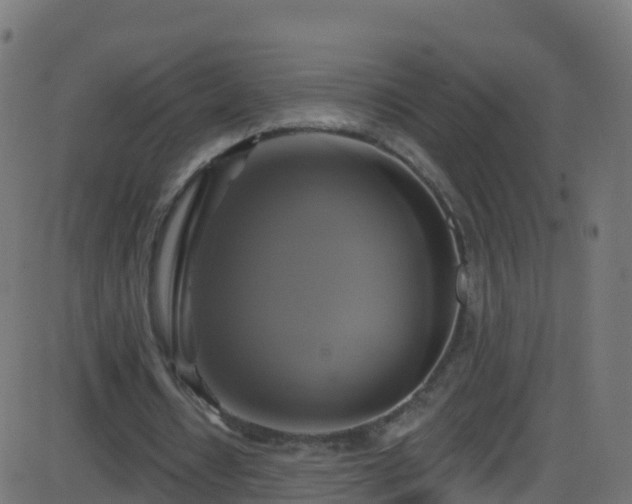 X0000086220434200704051244