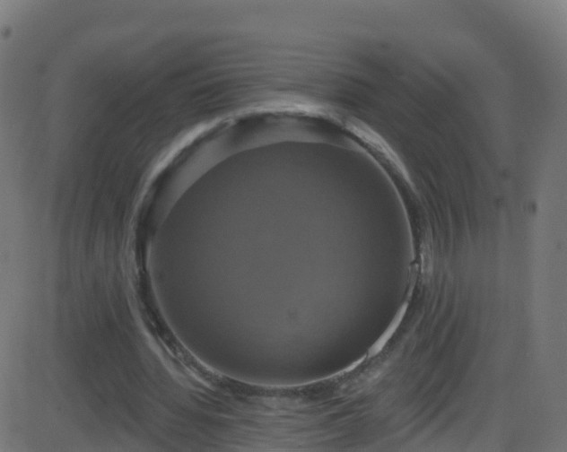 X0000086220436200704051244