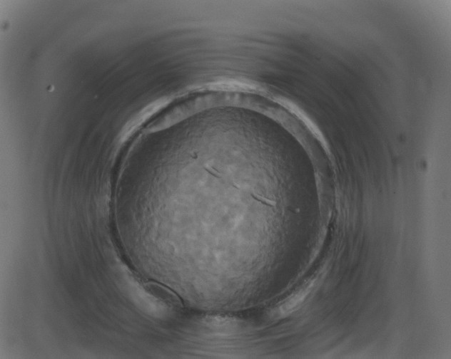 X0000086220437200704051244