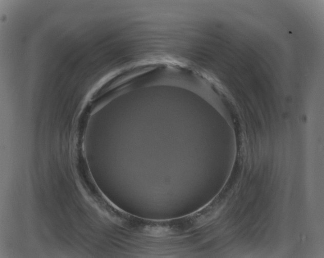 X0000086220440200704051244