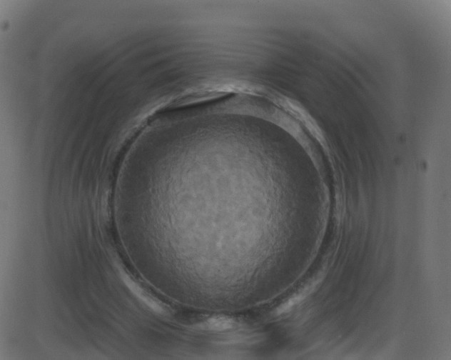 X0000086220441200704051244