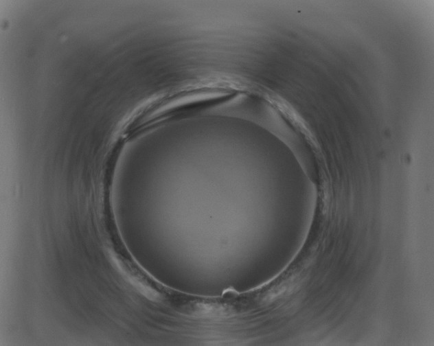 X0000086220442200704051244