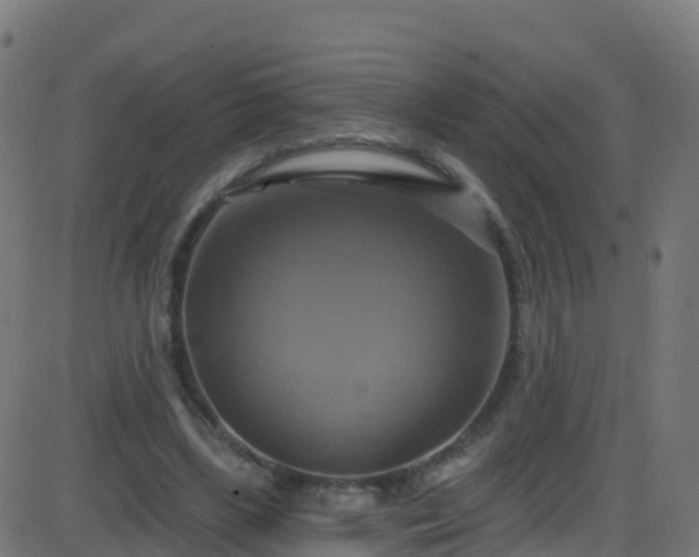 X0000086220443200704051244