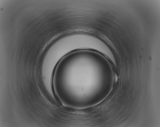 X0000086220444200704051244