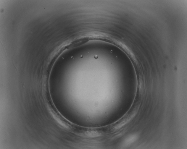 X0000086220445200704051244