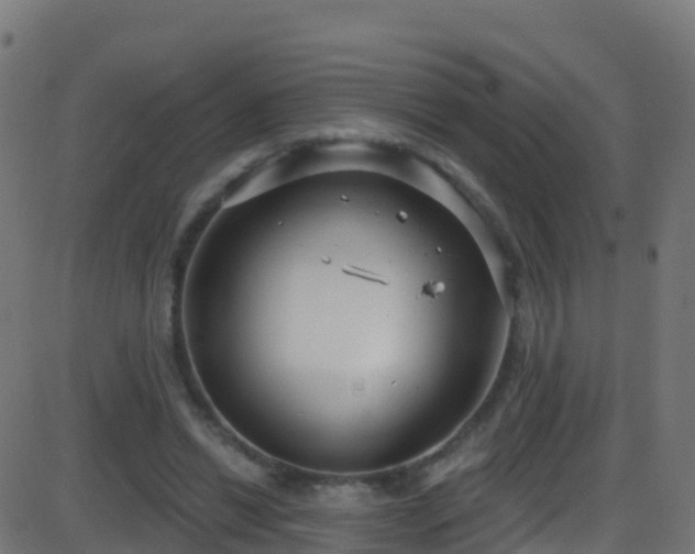 X0000086220446200704051244