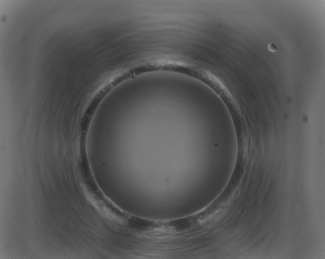 X0000086220447200704051244