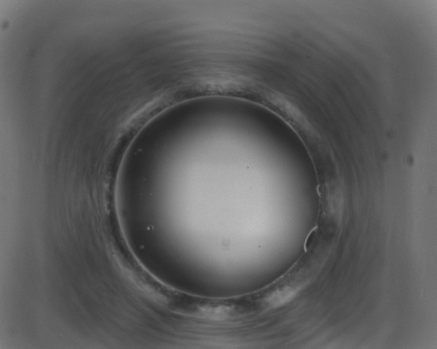 X0000086220450200704051244