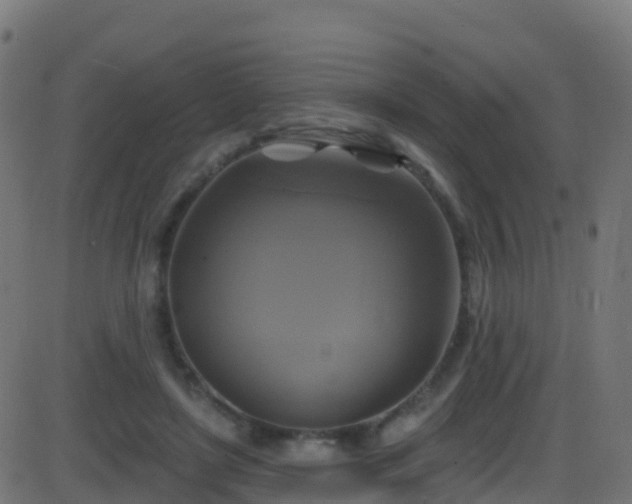 X0000086220451200704051244