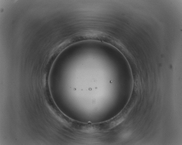 X0000086220454200704051244