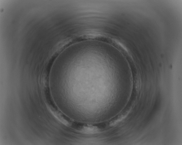 X0000086220455200704051244