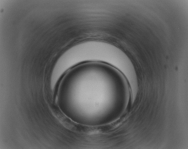 X0000086220456200704051244