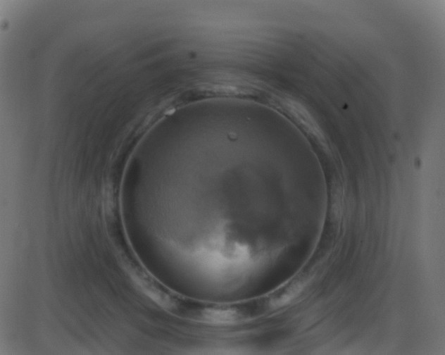 X0000086220457200704051244